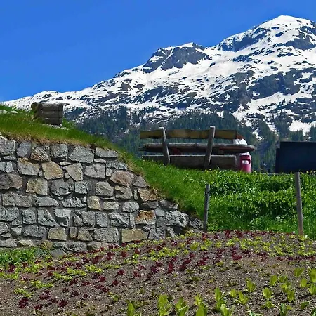 Waldhaus Am Готель