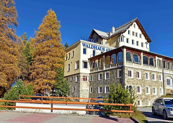 Waldhaus Am Hotel