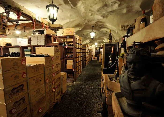 Hotell Waldhaus Am 3*