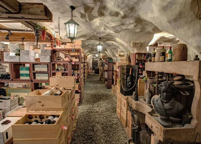 瓦尔德豪斯酒店 酒店 圣莫里茨