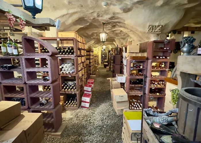 瓦尔德豪斯酒店 酒店