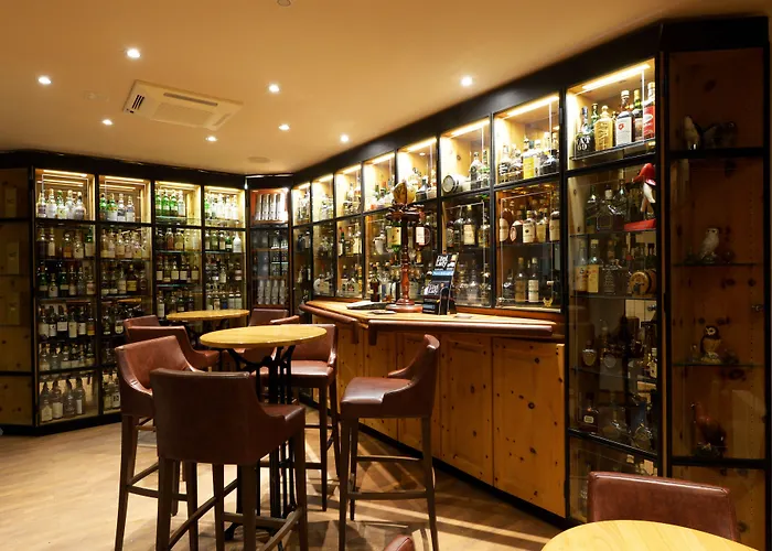 瓦尔德豪斯酒店 酒店