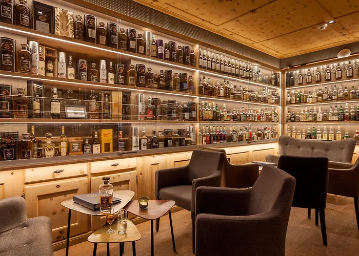 瓦尔德豪斯酒店 酒店 圣莫里茨