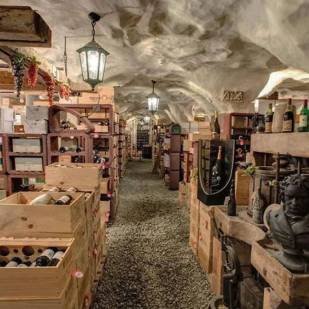 Waldhaus Am Отель Санкт-Мориц